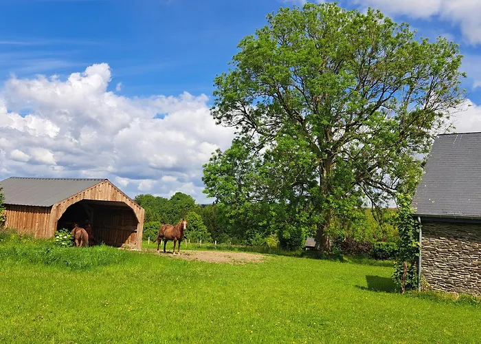 Gîte L\'Olivier à Filly - Nadrin, entre Houffalize et La Roche-en-Ardenne