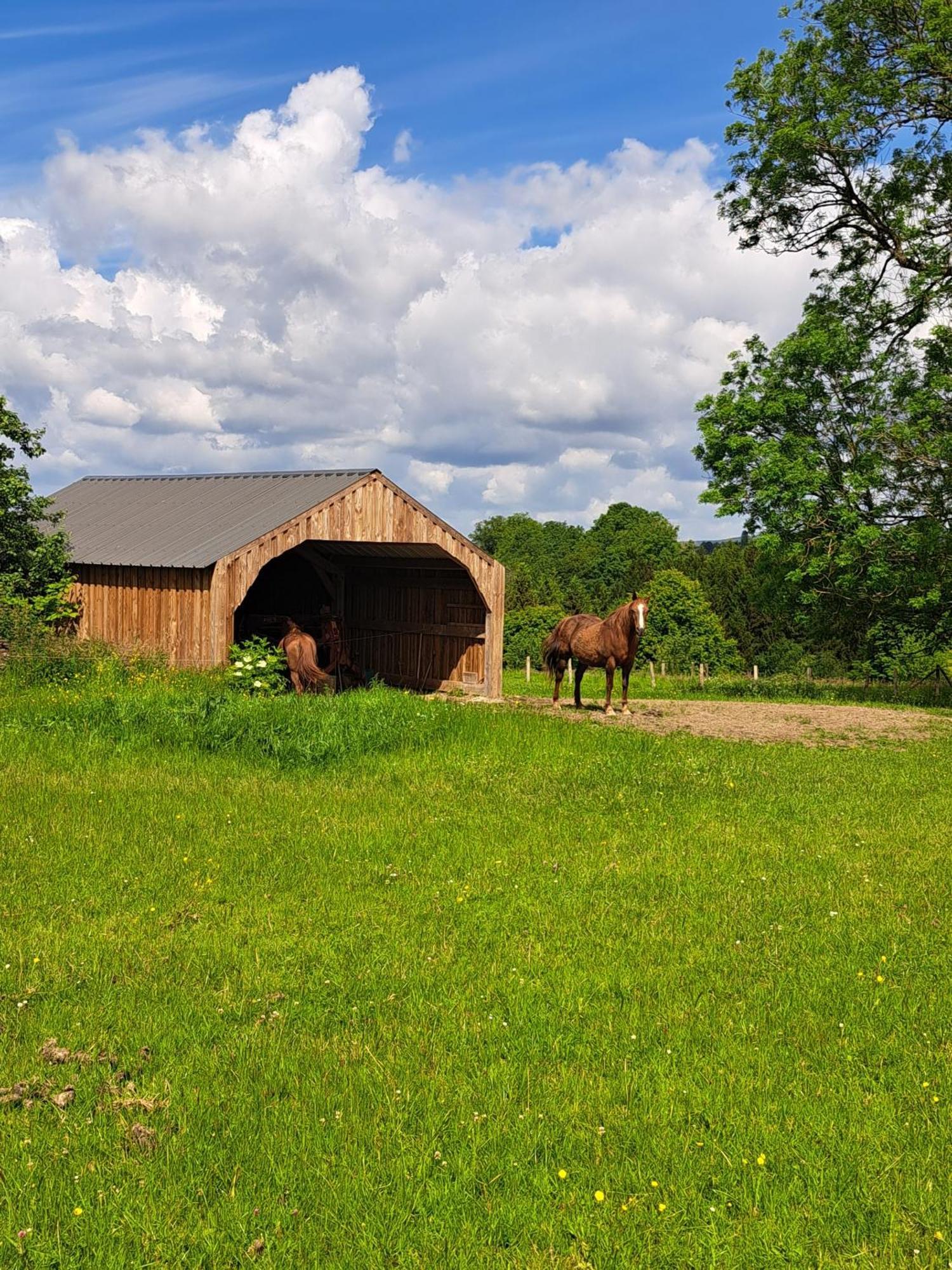 L'olivier à Filly - Nadrin, Entre Et La Roche-en-ardenne Ferienhaus *