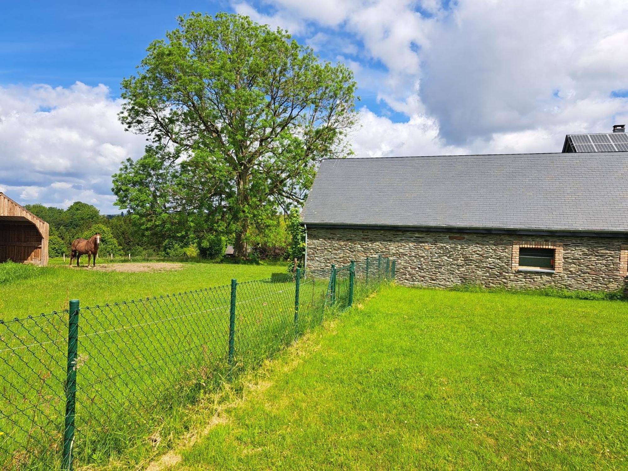 L'olivier à Filly - Nadrin, Entre Et La Roche-en-ardenne Ferienhaus